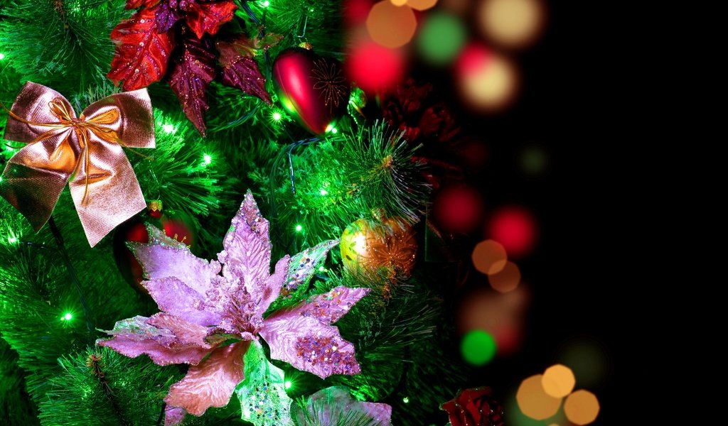 Обои цветы, огоньки, гирлянда, огни, елочные, новый год, с новым годом, елка, боке, шары, 2013, бантики, блики, праздник, елочные украшения, flowers, garland, lights, christmas, new year, happy new year, tree, bokeh, balls, bows, glare, holiday, christmas decorations разрешение 2560x1600 Загрузить