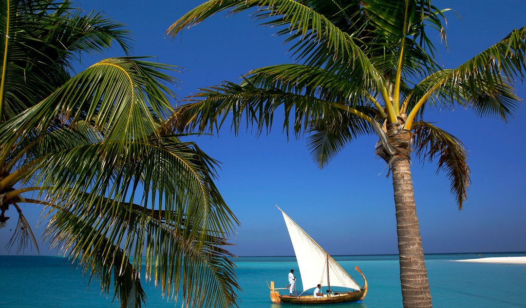 Обои лодка, тропики, мальдивы, boat, tropics, the maldives разрешение 2500x1667 Загрузить