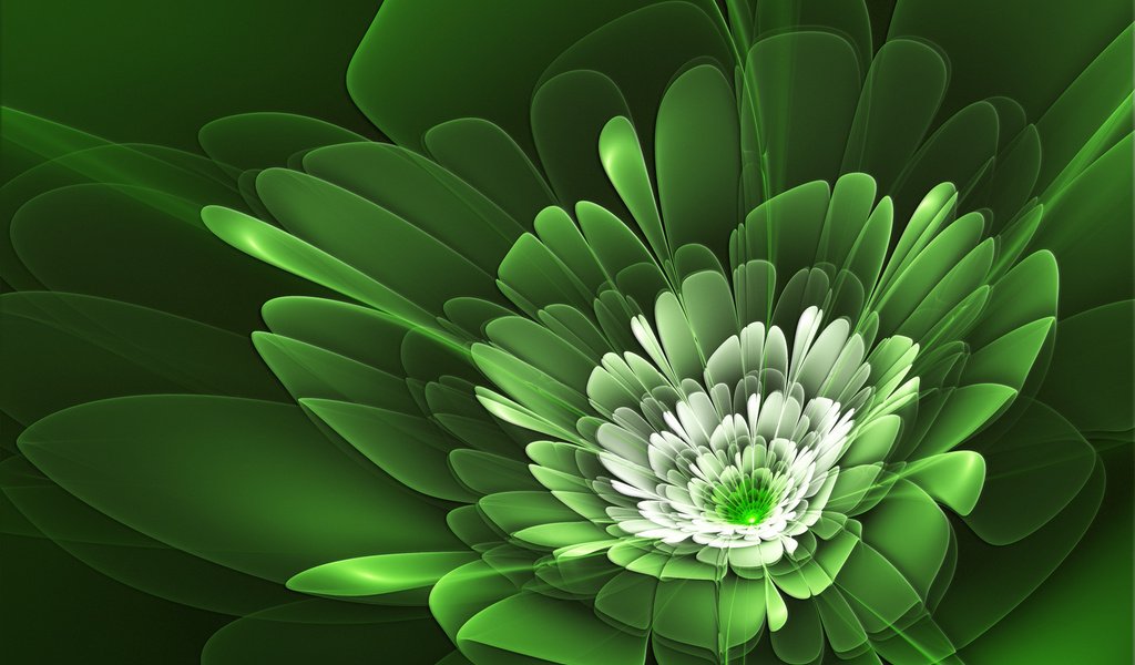 Обои линии, зелёный, цветок, лепестки, line, green, flower, petals разрешение 1920x1200 Загрузить