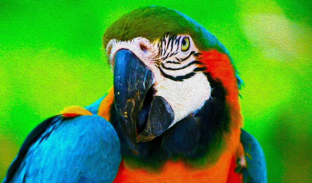 Обои арт, птицы, попугай, 3д, art, birds, parrot, 3d разрешение 1920x1080 Загрузить