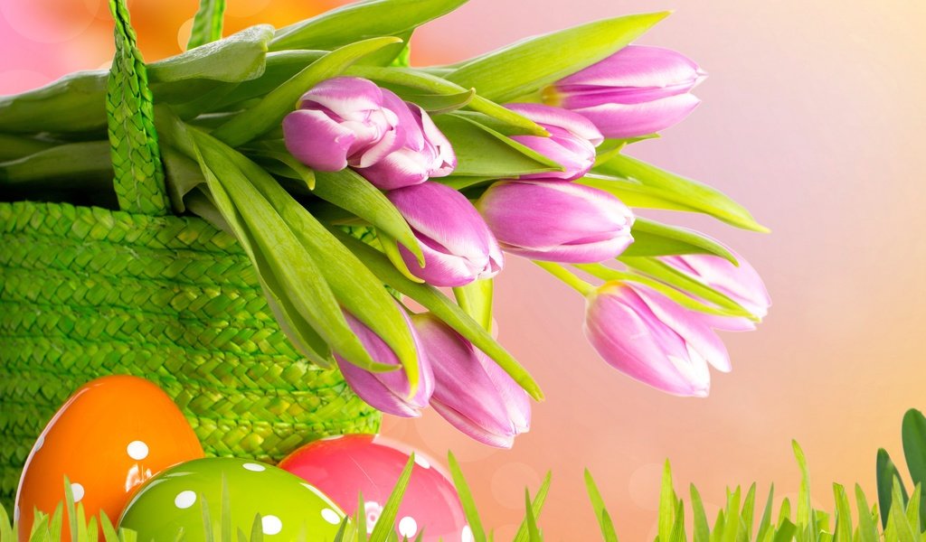 Обои цветы, весна, корзина, тюльпаны, пасха, яйца, flowers, spring, basket, tulips, easter, eggs разрешение 4200x3152 Загрузить