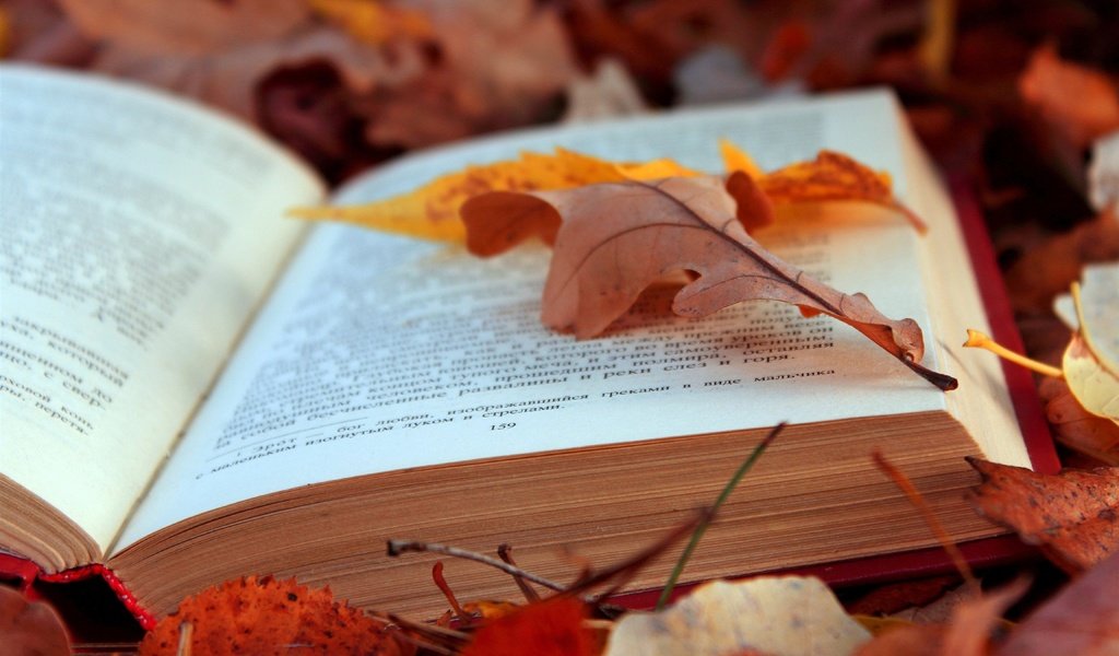 Обои листья, осень, текст, книга, страницы, leaves, autumn, text, book, page разрешение 4608x3072 Загрузить