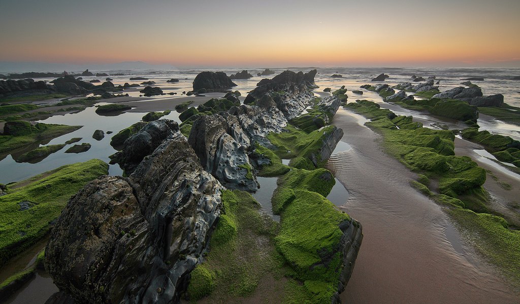 Обои скалы, камни, море, пляж, водоросли, rocks, stones, sea, beach, algae разрешение 2048x1364 Загрузить