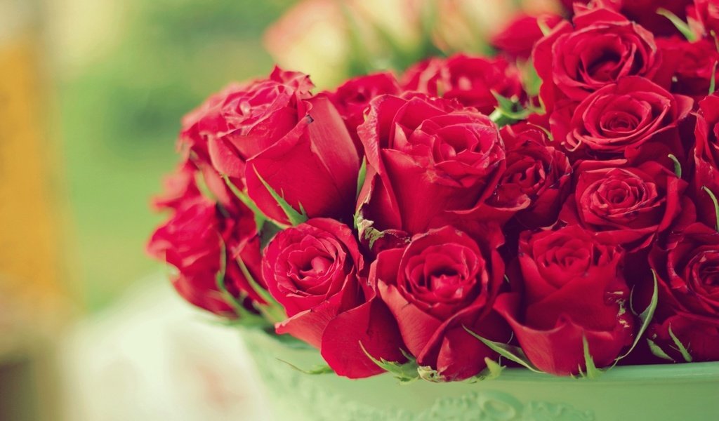 Обои цветы, розы, букет, flowers, roses, bouquet разрешение 1920x1219 Загрузить