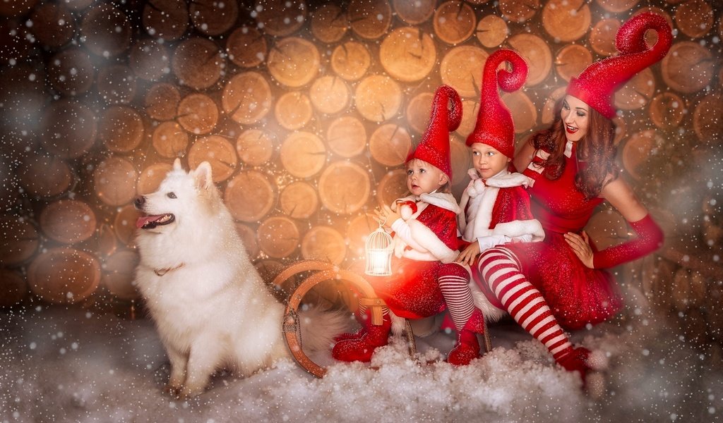 Обои снег, девушка, собака, дети, сани, самоед, колпаки, snow, girl, dog, children, sleigh, samoyed, caps разрешение 1920x1224 Загрузить