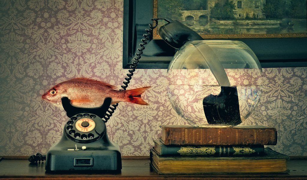 Обои телефон, трубка, аквариум, рыба, phone, tube, aquarium, fish разрешение 2000x1328 Загрузить