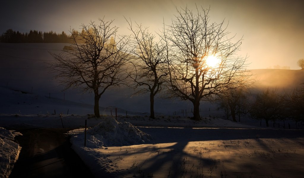 Обои свет, деревья, зима, утро, light, trees, winter, morning разрешение 2048x1365 Загрузить