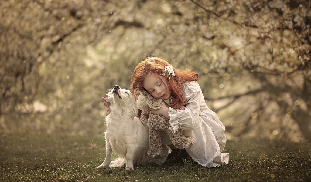 Обои природа, собака, рыжая, девочка, игрушка, ребенок, животное, ann podsiedlik, nature, dog, red, girl, toy, child, animal разрешение 2048x1365 Загрузить