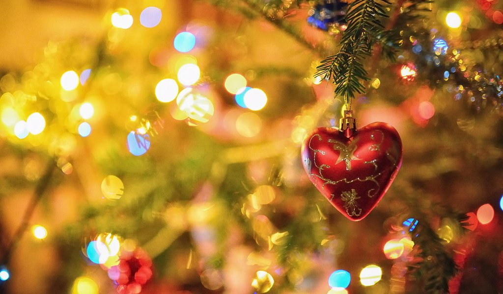 Обои новый год, елка, украшения, рождество, гирлянда, new year, tree, decoration, christmas, garland разрешение 1920x1200 Загрузить