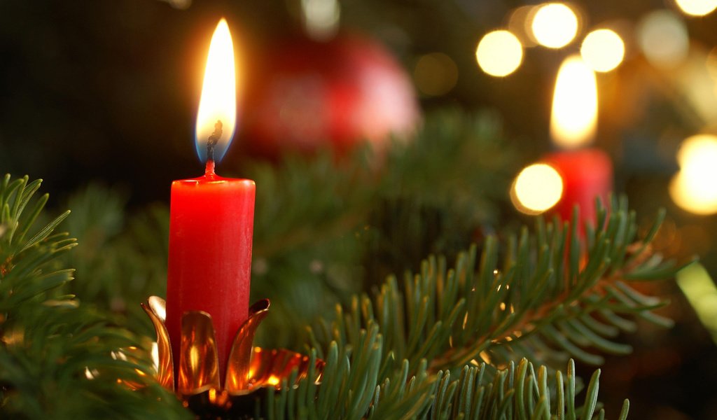 Обои новый год, елка, хвоя, ветки, свеча, рождество, new year, tree, needles, branches, candle, christmas разрешение 2880x1800 Загрузить