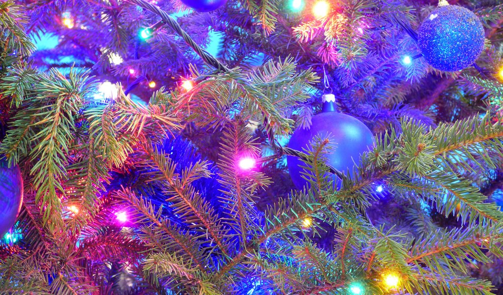 Обои новый год, елка, рождество, гирлянда, new year, tree, christmas, garland разрешение 3840x2400 Загрузить