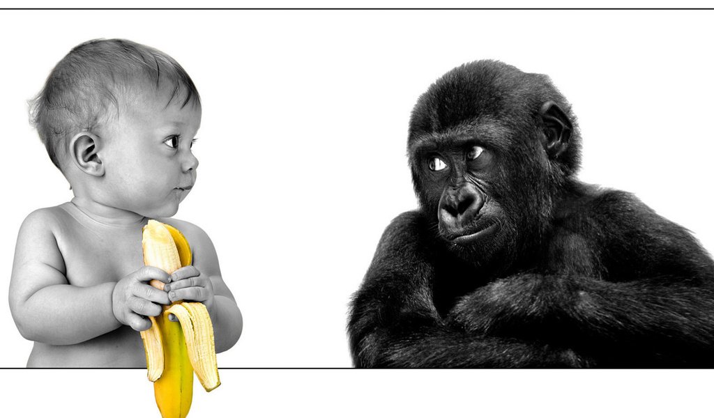 Обои ребенок, обезьяна, банан, child, monkey, banana разрешение 2560x1600 Загрузить