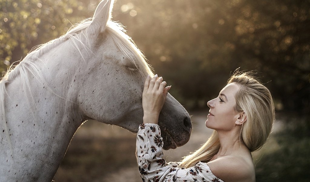 Обои лошадь, девушка, настроение, блондинка, профиль, конь, грива, horse, girl, mood, blonde, profile, mane разрешение 5000x3530 Загрузить