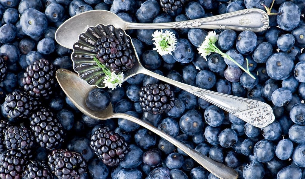 Обои черника, ежевика, blueberries, blackberry разрешение 2000x1329 Загрузить