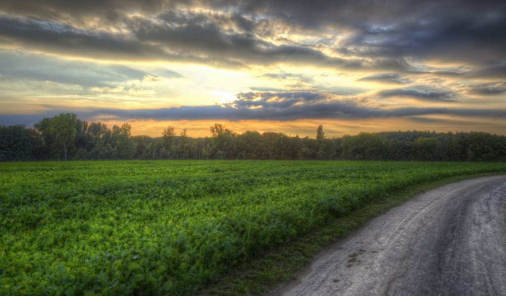 Обои дорога, закат, поле, road, sunset, field разрешение 3840x2160 Загрузить