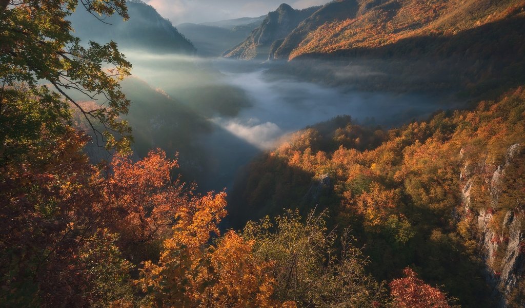 Обои горы, лес, осень, ущелье, черногория, mountains, forest, autumn, gorge, montenegro разрешение 1920x1280 Загрузить