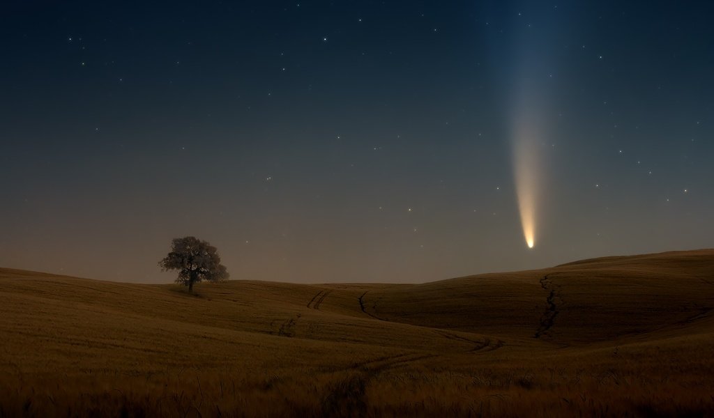 Обои небо, дерево, звезды, поле, комета, the sky, tree, stars, field, comet разрешение 2000x1125 Загрузить