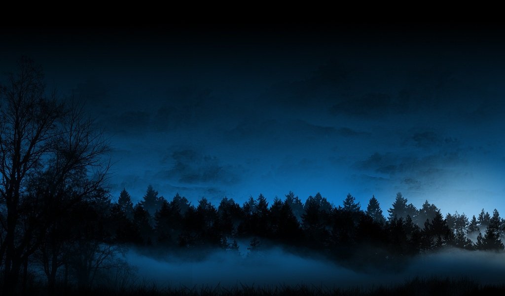 Обои небо, облака, ночь, деревья, природа, лес, туман, темно, the sky, clouds, night, trees, nature, forest, fog, dark разрешение 1920x1080 Загрузить