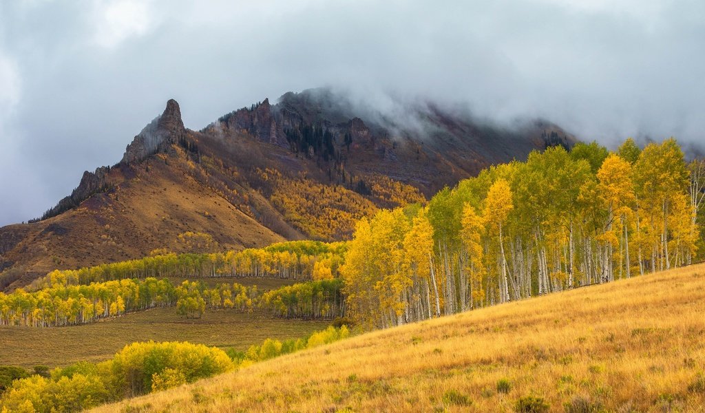 Обои облака, горы, лес, поле, склон, осень, clouds, mountains, forest, field, slope, autumn разрешение 3840x2160 Загрузить