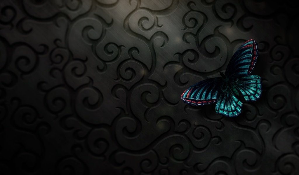 Обои бабочка, butterfly разрешение 2560x1440 Загрузить