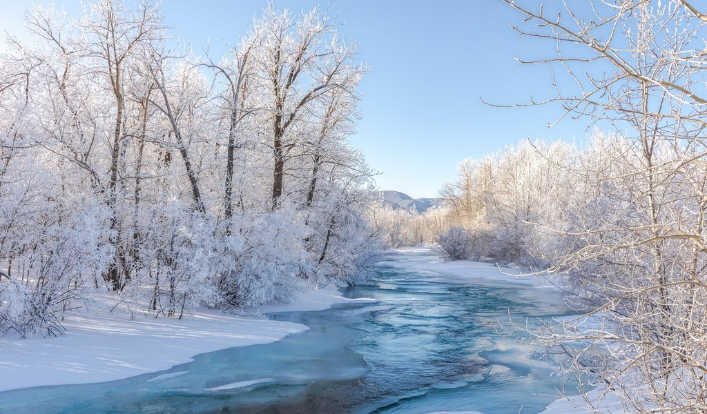 Обои небо, иней, деревья, берега, река, снег, природа, лес, зима, ветки, the sky, frost, trees, bank, river, snow, nature, forest, winter, branches разрешение 2048x1375 Загрузить