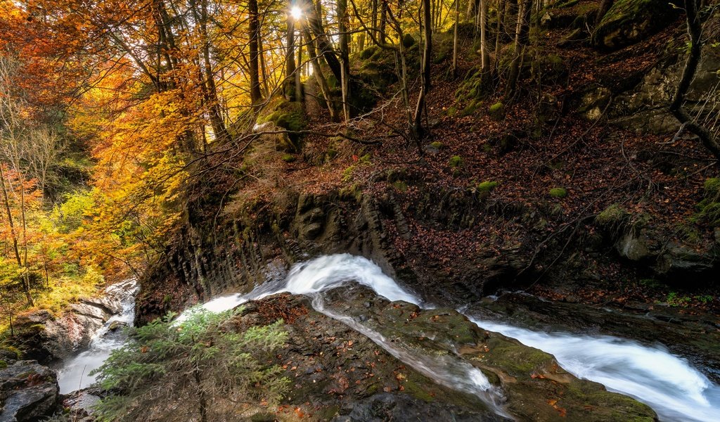 Обои река, лес, осень, river, forest, autumn разрешение 3840x2160 Загрузить