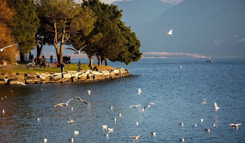 Обои озеро, швейцария, маджоре, lake, switzerland, maggiore разрешение 2047x1365 Загрузить