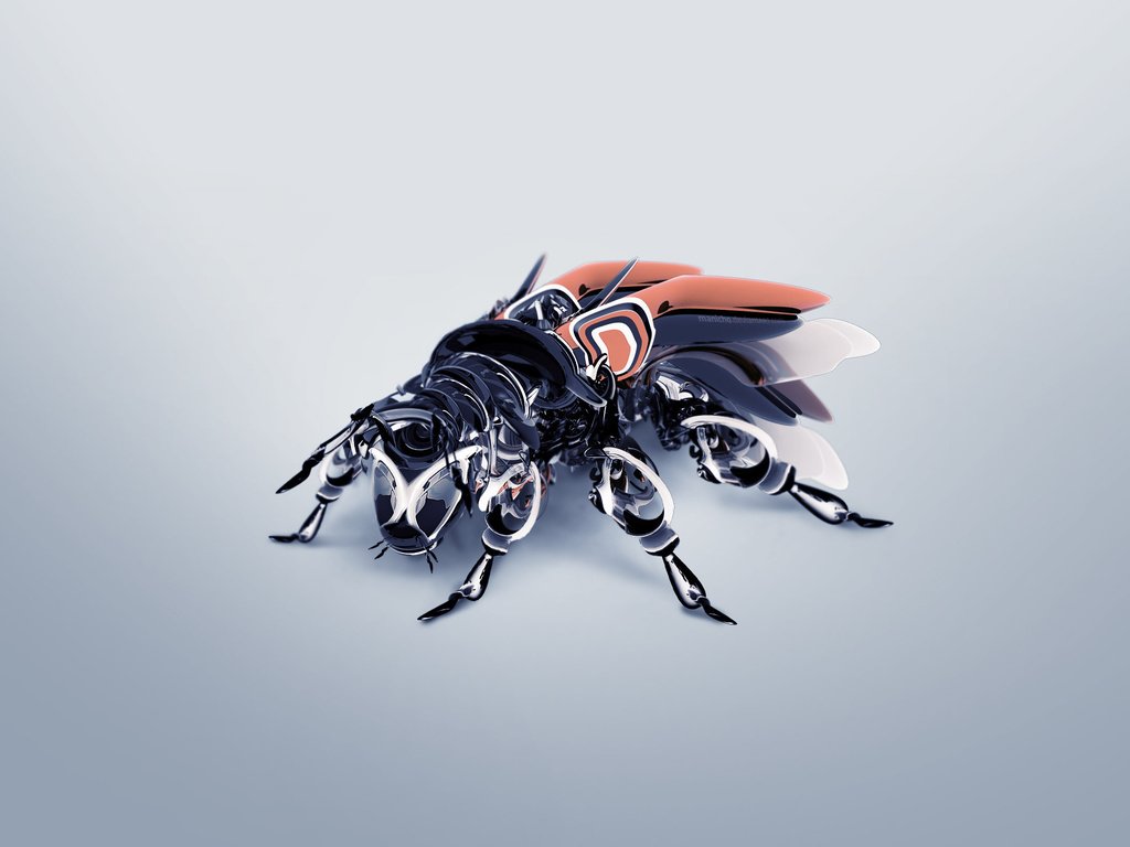 Обои жук, крылья, усики, 3д, beetle, wings, antennae, 3d разрешение 2560x1600 Загрузить
