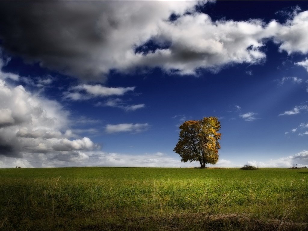 Обои облака, дерево, поле, clouds, tree, field разрешение 1920x1440 Загрузить