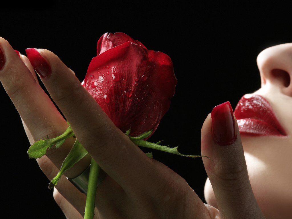 Обои рука, девушка, роза, красная, губы, лицо, ладонь, ногти, hand, girl, rose, red, lips, face, palm, nails разрешение 2560x1600 Загрузить