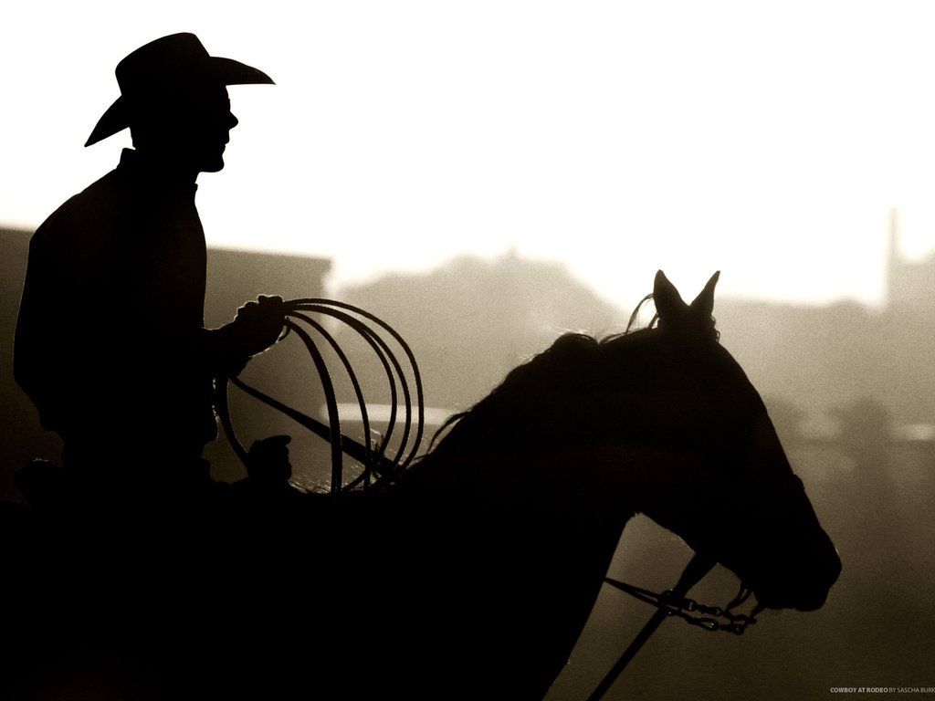 Обои лошадь, силуэт, конь, шляпа, ковбой, лассо, horse, silhouette, hat, cowboy, lasso разрешение 2560x1600 Загрузить