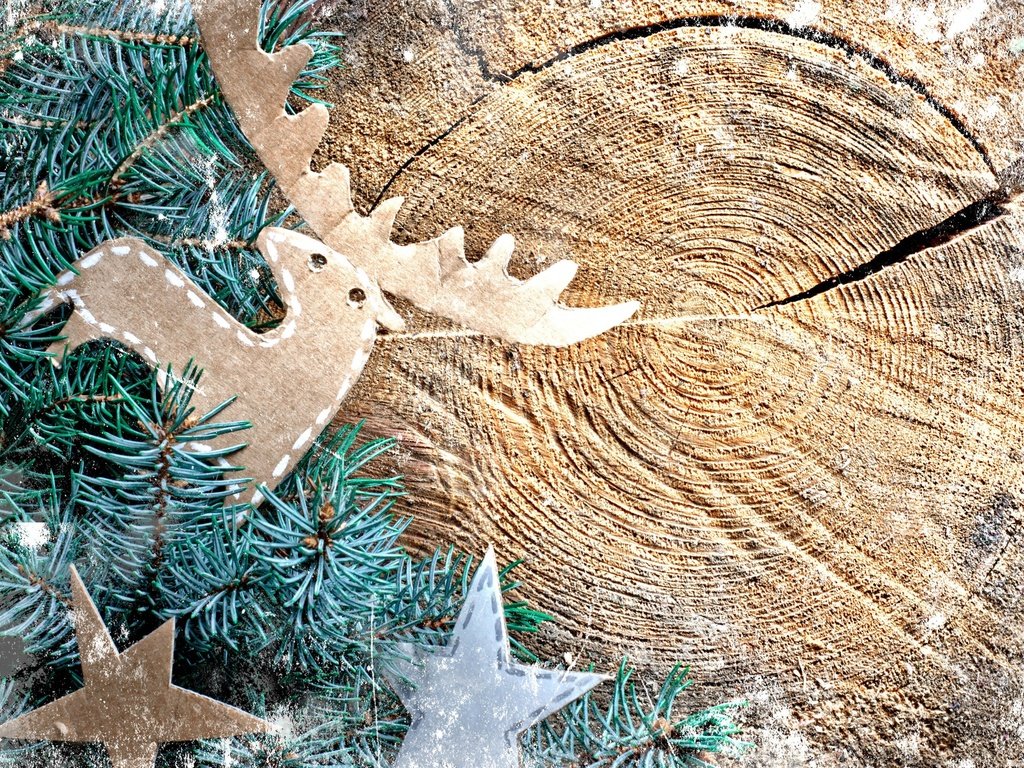 Обои дерево, поделки, новый год, елка, олень, ветки, фигурки, звездочки, рождество, картон, cardboard, tree, diy, new year, deer, branches, figures, stars, christmas разрешение 2560x1600 Загрузить
