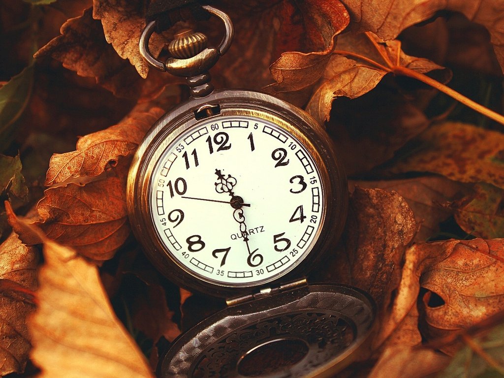 Обои природа, листья, макро, осень, часы, время, стрелки, циферблат, nature, leaves, macro, autumn, watch, time, arrows, dial разрешение 1920x1200 Загрузить