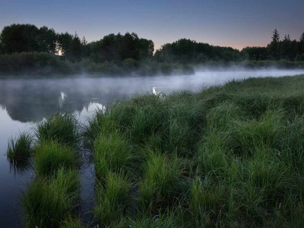 Обои трава, озеро, лес, утро, туман, рассвет, grass, lake, forest, morning, fog, dawn разрешение 1920x1200 Загрузить