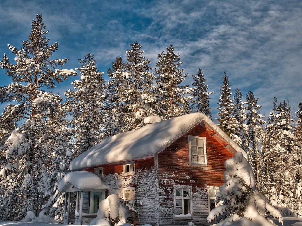 Обои деревья, снег, зима, дом, елки, старый, trees, snow, winter, house, tree, old разрешение 1920x1200 Загрузить