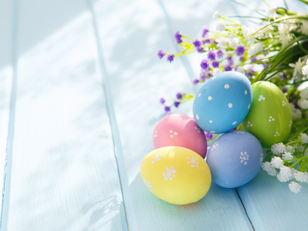 Обои цветы, весна, пасха, яйца, праздник, flowers, spring, easter, eggs, holiday разрешение 6530x4353 Загрузить