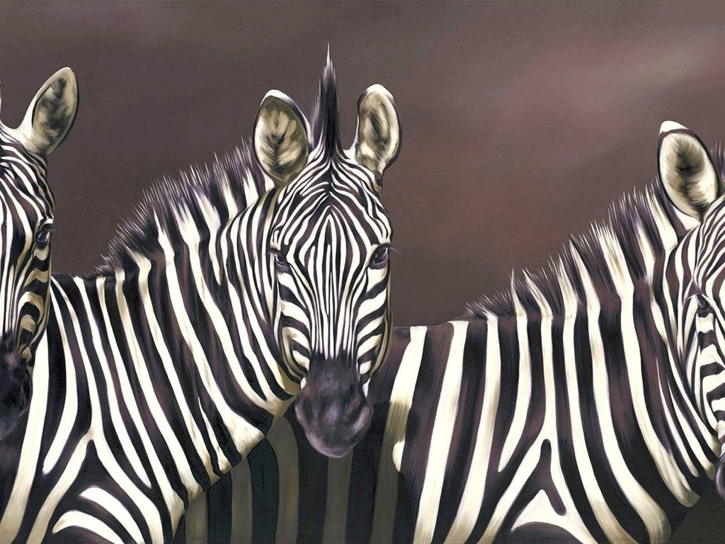 Обои зебра, зебры, zebra разрешение 2052x1080 Загрузить
