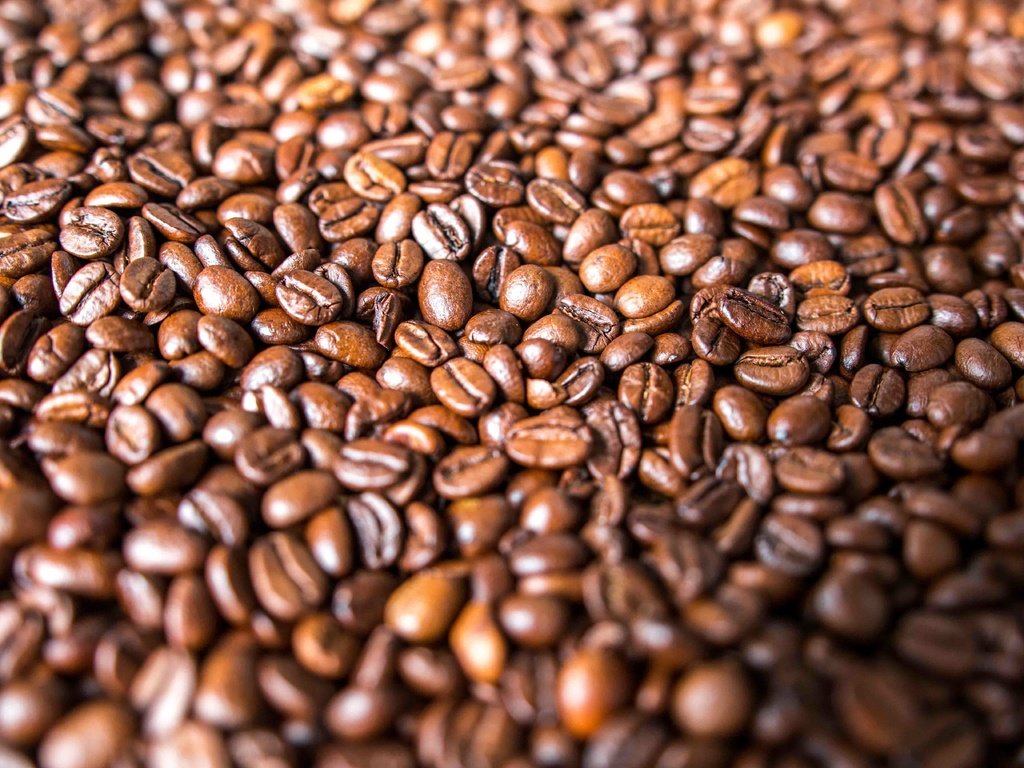 Обои зерна, кофе, много, кофейные зерна, grain, coffee, a lot, coffee beans разрешение 5472x3648 Загрузить