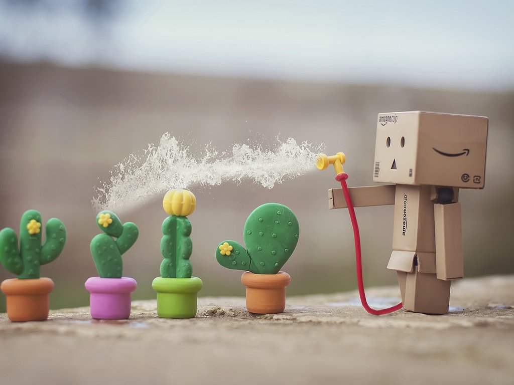 Обои цветы, коробка, кактусы, данбо, картонный робот, flowers, box, cacti, danbo, cardboard robot разрешение 1920x1200 Загрузить