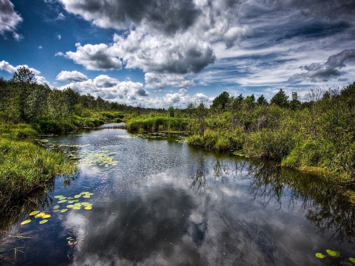 Обои облака, деревья, вода, болото, clouds, trees, water, swamp разрешение 1920x1200 Загрузить