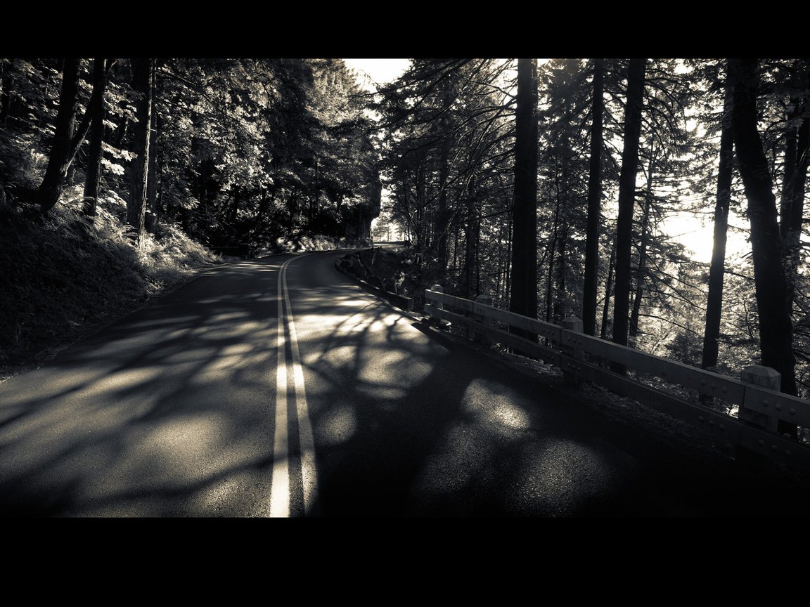 Обои дорога, деревья, лес, чёрно-белый, road, trees, forest, black and white разрешение 1920x1200 Загрузить