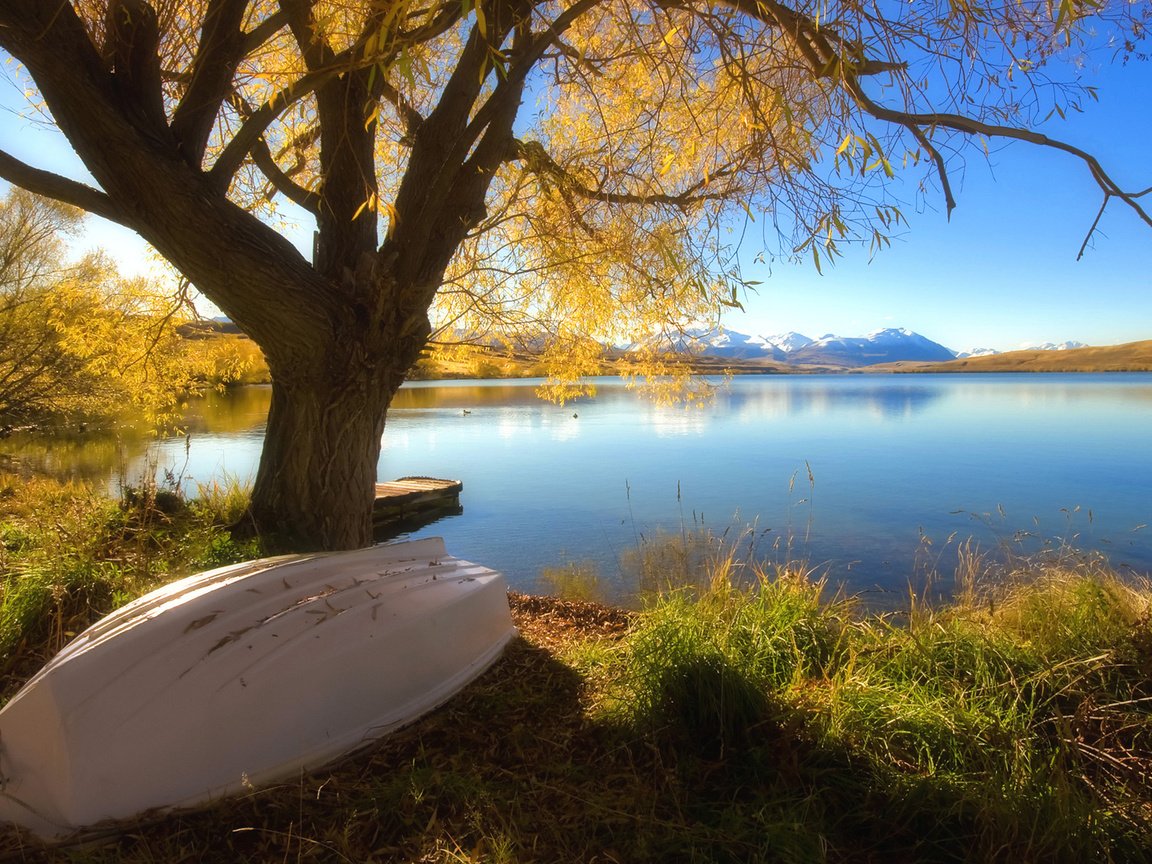 Обои озеро, дерево, осень, лодка, lake, tree, autumn, boat разрешение 1920x1080 Загрузить