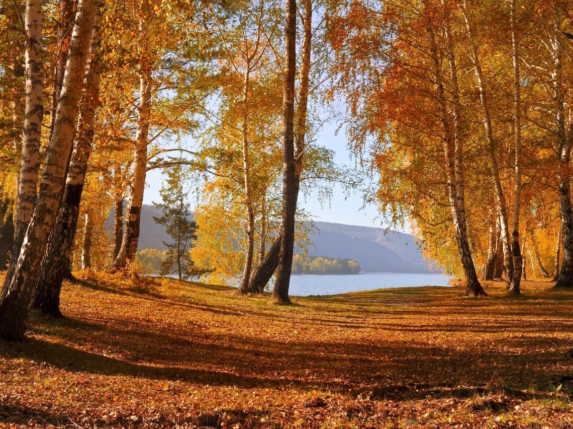 Обои деревья, озеро, горы, природа, лес, листья, осень, trees, lake, mountains, nature, forest, leaves, autumn разрешение 1920x1200 Загрузить