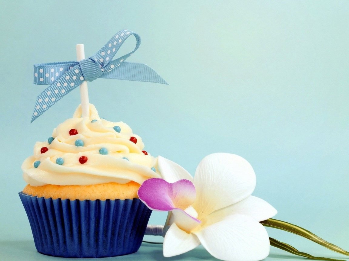 Обои бант, кулич, кекс, цветком, день рождение, bow, cake, cupcake, flower, birthday разрешение 1920x1080 Загрузить