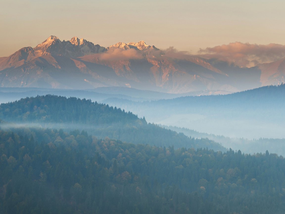 Обои деревья, горы, лес, пейзаж, утро, туман, вид сверху, trees, mountains, forest, landscape, morning, fog, the view from the top разрешение 3840x2400 Загрузить