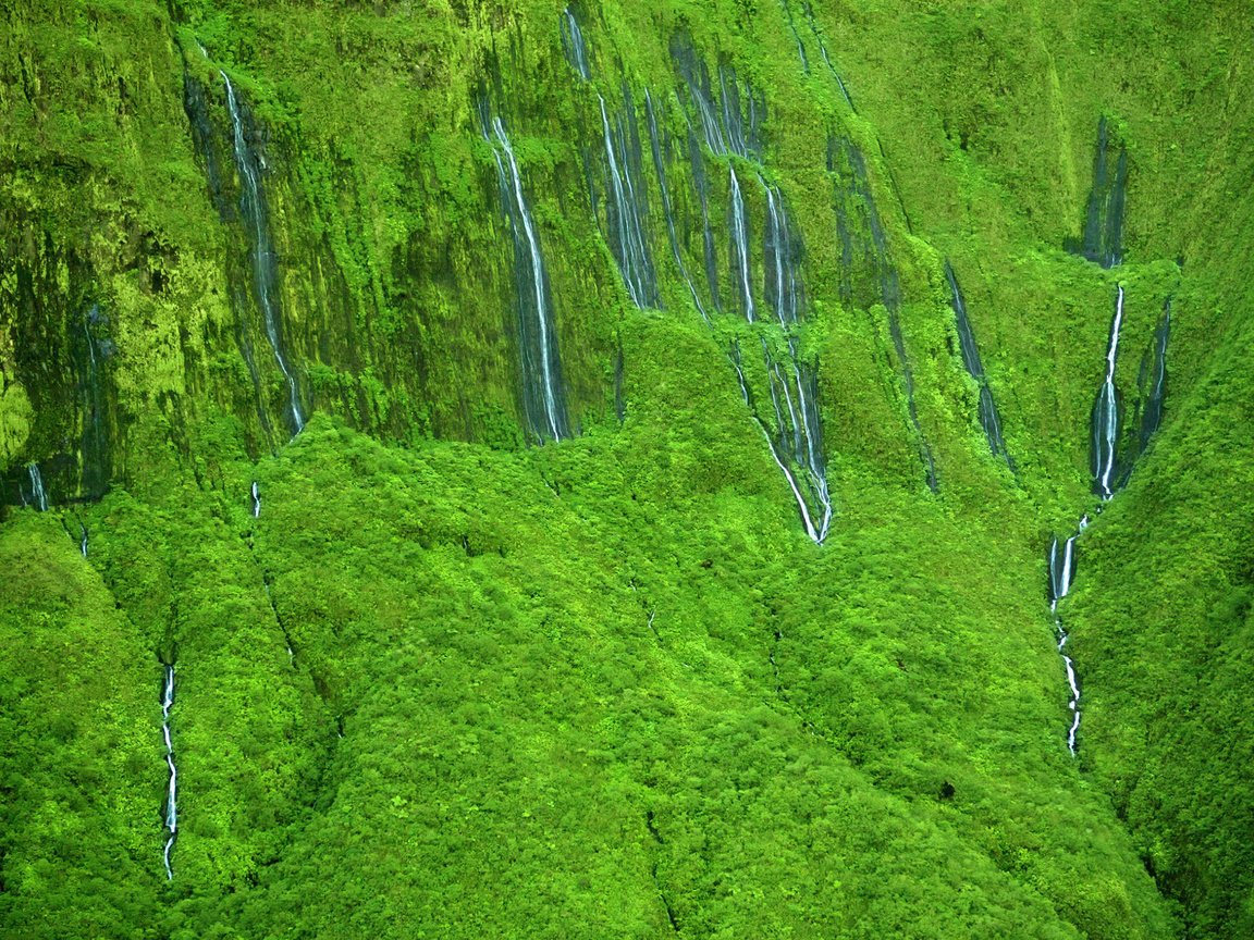 Обои природа, склон, водопады, гаваи, мауи, wall of tears' waterfalls, nature, slope, waterfalls, hawaii, maui разрешение 2560x1600 Загрузить