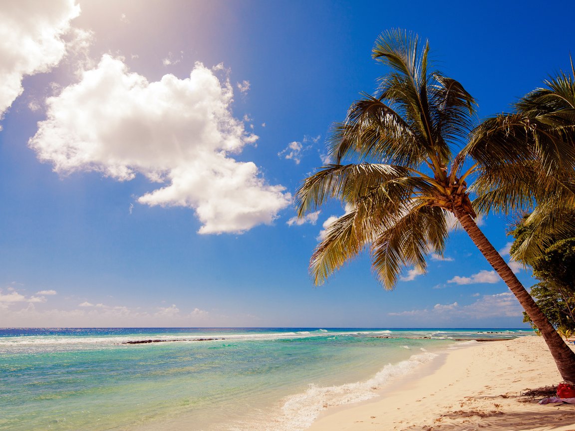 Обои море, пляж, тропики, sea, beach, tropics разрешение 5319x3546 Загрузить