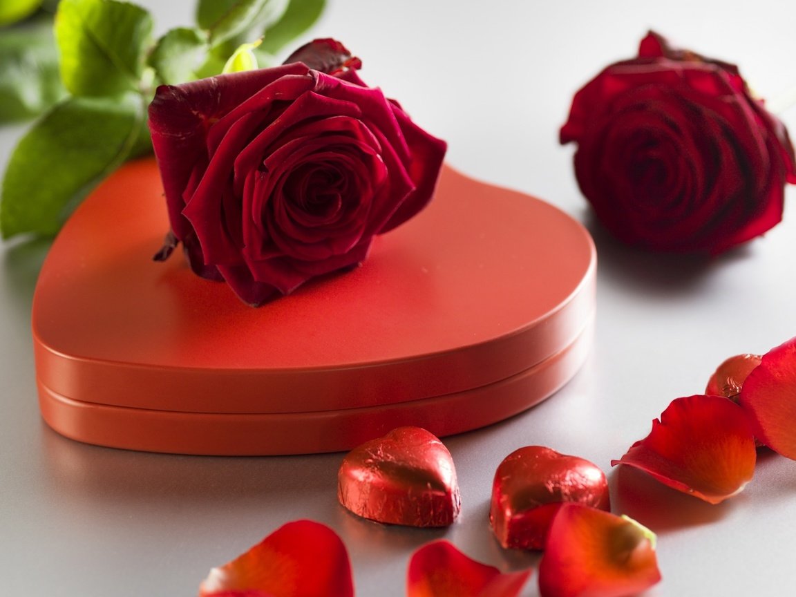 Обои красные розы, конфеты, сердечка, подарок, шоколад, сердечки, романтик, краcный, роз, влюбленная, red roses, candy, heart, gift, chocolate, hearts, romantic, red, roses, love разрешение 2560x1600 Загрузить