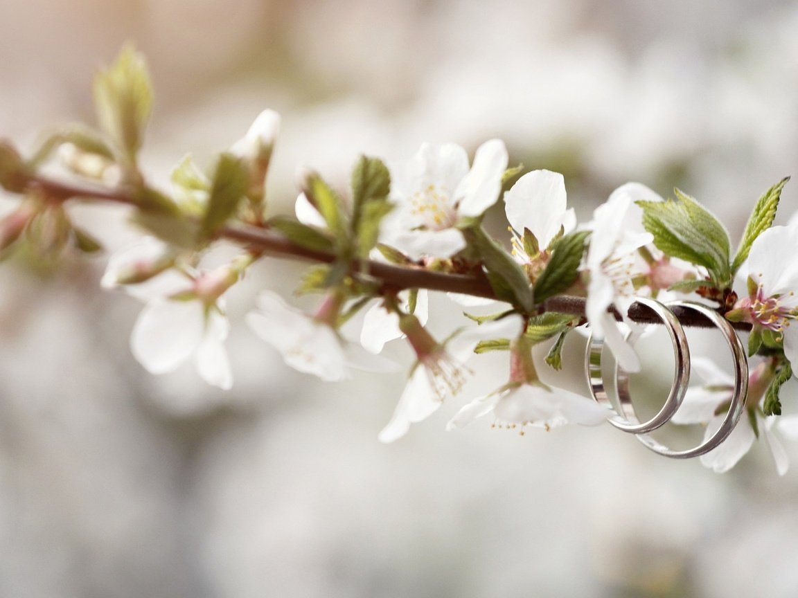 Обои весна, весенние, spring разрешение 1920x1080 Загрузить