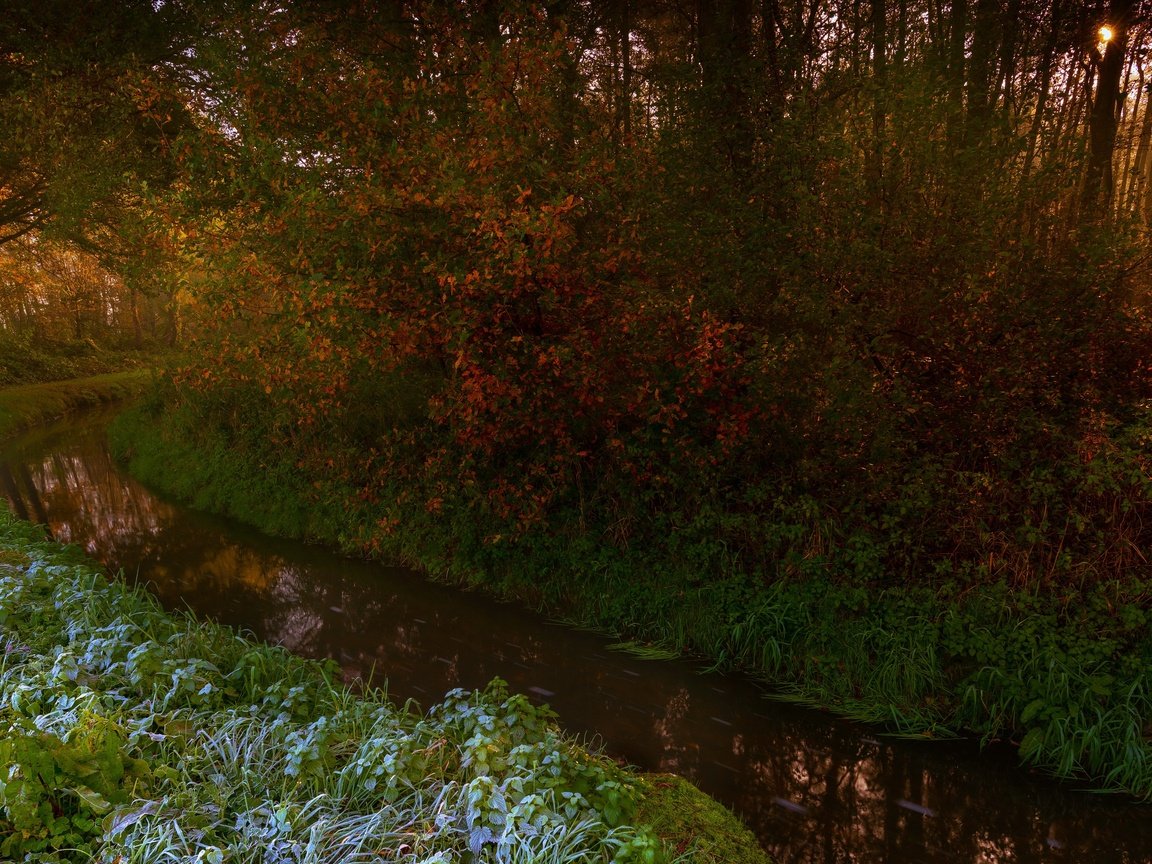 Обои деревья, река, лес, осень, trees, river, forest, autumn разрешение 3840x2160 Загрузить